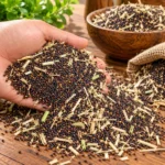 Premium Black Mustard Seeds