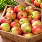 Fresh Premium Red & Green Apples