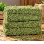 Premium Dried Grass Hay Bales