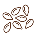 Grains & Seeds