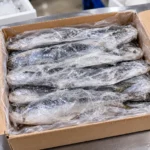 Frozen Whole Fish